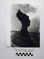 黃則修攝野柳地景女王頭藏品圖，第1張