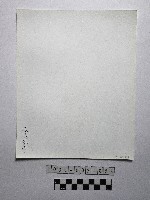 黃則修攝野柳地景女王頭藏品圖，第2張