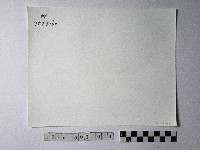 黃則修攝野柳地景海蝕崖藏品圖，第2張