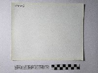 黃則修攝野柳地景海蝕崖藏品圖，第2張