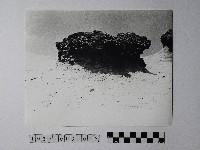 黃則修攝野柳地景蜂窩岩藏品圖，第1張