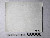 黃則修攝野柳地景蜂窩岩藏品圖，第2張