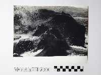 黃則修攝野柳地景藏品圖，第1張