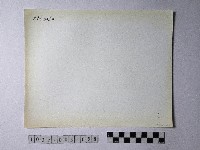 黃則修攝野柳地景藏品圖，第2張