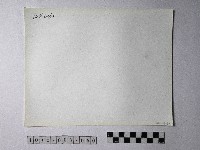 黃則修攝野柳地景藏品圖，第2張