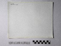 黃則修攝野柳地景藏品圖，第2張