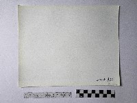 黃則修攝野柳地景藏品圖，第2張