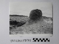 黃則修攝野柳地景藏品圖，第1張