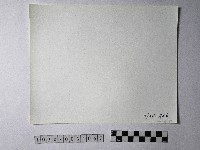 黃則修攝野柳地景藏品圖，第2張