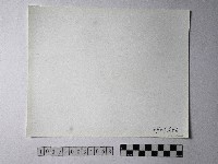 黃則修攝野柳地景藏品圖，第2張