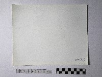 黃則修攝野柳地景藏品圖，第2張