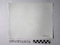 黃則修攝野柳地景藏品圖，第2張