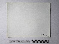 黃則修攝野柳地景藏品圖，第2張