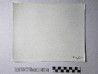 黃則修攝野柳地景藏品圖，第2張