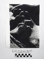 黃則修攝野柳地景燭臺石藏品圖，第1張