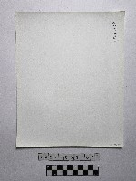 黃則修攝野柳地景燭臺石藏品圖，第2張