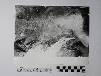 黃則修攝野柳地景藏品圖，第1張