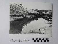 黃則修攝野柳地景藏品圖，第1張