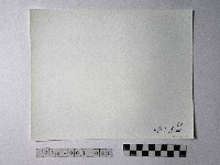 黃則修攝野柳地景藏品圖，第2張