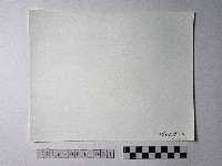 黃則修攝野柳地景藏品圖，第2張