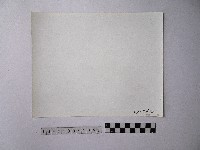 黃則修攝野柳地景藏品圖，第2張