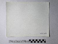 黃則修攝野柳地景藏品圖，第2張