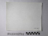 黃則修攝野柳地景藏品圖，第2張