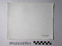 黃則修攝野柳地景藏品圖，第2張