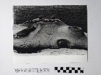 黃則修攝野柳地景仙女鞋藏品圖，第1張