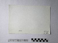 黃則修攝野柳地景仙女鞋藏品圖，第2張