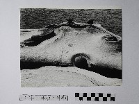 黃則修攝野柳地景仙女鞋藏品圖，第1張