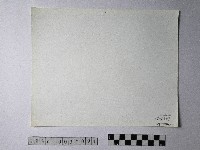 黃則修攝野柳地景仙女鞋藏品圖，第2張