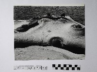 黃則修攝野柳地景仙女鞋藏品圖，第1張