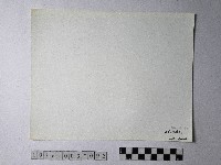 黃則修攝野柳地景仙女鞋藏品圖，第2張