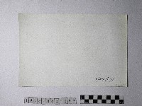 黃則修攝野柳地景藏品圖，第2張