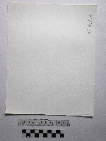 黃則修攝野柳地景溶蝕盤藏品圖，第2張