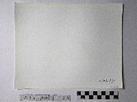 黃則修攝野柳地景藏品圖，第2張