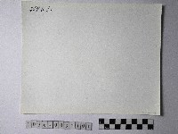 黃則修攝野柳地景藏品圖，第2張