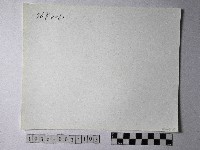 黃則修攝野柳地景藏品圖，第2張