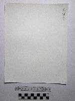 黃則修攝野柳地景藏品圖，第2張