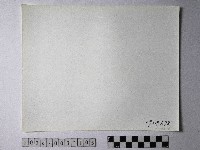 黃則修攝野柳地景藏品圖，第2張