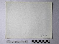 黃則修攝野柳地景藏品圖，第2張