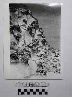 黃則修攝野柳地景藏品圖，第1張