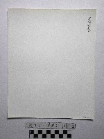 黃則修攝野柳地景藏品圖，第2張