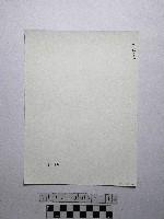 黃則修攝野柳地景藏品圖，第2張