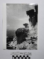 黃則修攝野柳地景藏品圖，第1張