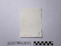 泰耶族群分布圖藏品圖，第2張