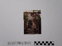 黃則修攝古洋樓藏品圖，第1張