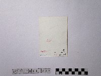 黃則修攝古洋樓藏品圖，第2張