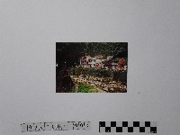 黃則修攝石碇溪流與街屋藏品圖，第1張